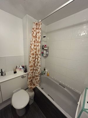 Photo 2- click for photo gallery